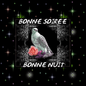 Gif animé bonne soirée aigle